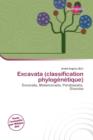 Image for Excavata (Classification Phylog N Tique)
