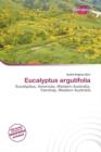 Image for Eucalyptus Argutifolia