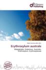 Image for Erythroxylum Australe