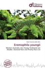Image for Eremophila Youngii