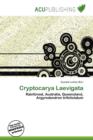 Image for Cryptocarya Laevigata