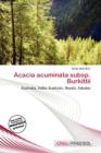 Image for Acacia Acuminata Subsp. Burkittii
