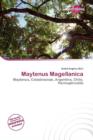 Image for Maytenus Magellanica