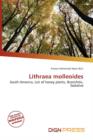 Image for Lithraea Molleoides