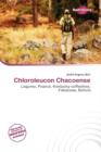 Image for Chloroleucon Chacoense
