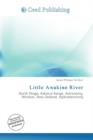Image for Little Awakino River