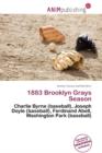 Image for 1883 Brooklyn Grays Season