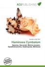 Image for Haminoea Cymbalum