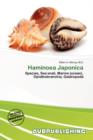 Image for Haminoea Japonica