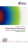 Image for Chrysotoxum Bicinctum