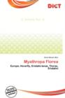 Image for Myathropa Florea