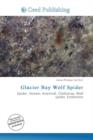 Image for Glacier Bay Wolf Spider