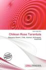 Image for Chilean Rose Tarantula