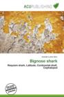 Image for Bignose Shark