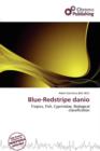 Image for Blue-Redstripe Danio