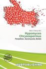Image for Hypomyces Chrysospermus