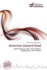 Image for American Gizzard Shad