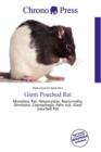 Image for Giant Pouched Rat