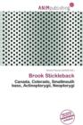 Image for Brook Stickleback