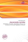 Image for Jacaranda Caroba