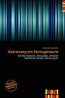 Image for Astrocaryum Ferrugineum