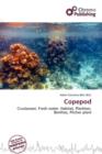 Image for Copepod