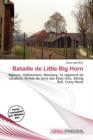 Image for Bataille de Little Big Horn