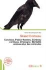 Image for Grand Corbeau