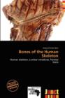Image for Bones of the Human Skeleton