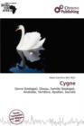 Image for Cygne