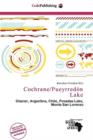 Image for Cochrane/Pueyrred N Lake