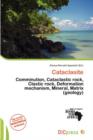 Image for Cataclasite