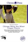 Image for Chicago White Sox Minor League Players