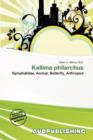 Image for Kallima Philarchus