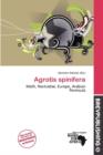 Image for Agrotis Spinifera