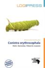 Image for Conistra Erythrocephala
