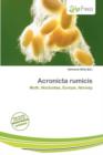Image for Acronicta Rumicis