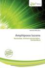 Image for Amphipoea Lucens