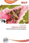 Image for Hypena Rostralis