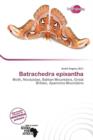 Image for Batrachedra Epixantha