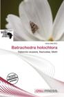 Image for Batrachedra Holochlora