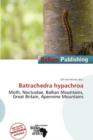 Image for Batrachedra Hypachroa