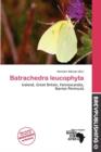 Image for Batrachedra Leucophyta
