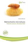 Image for Batrachedra Microdryas