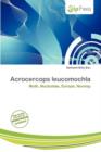 Image for Acrocercops Leucomochla