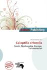 Image for Caloptilia Chlorella