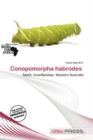 Image for Conopomorpha Habrodes