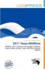 Image for 2011 Texas Wildfires