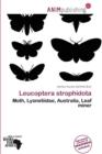 Image for Leucoptera Strophidota