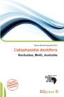 Image for Calophasidia Dentifera